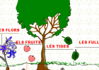 Les plantes | Recurso educativo 33260