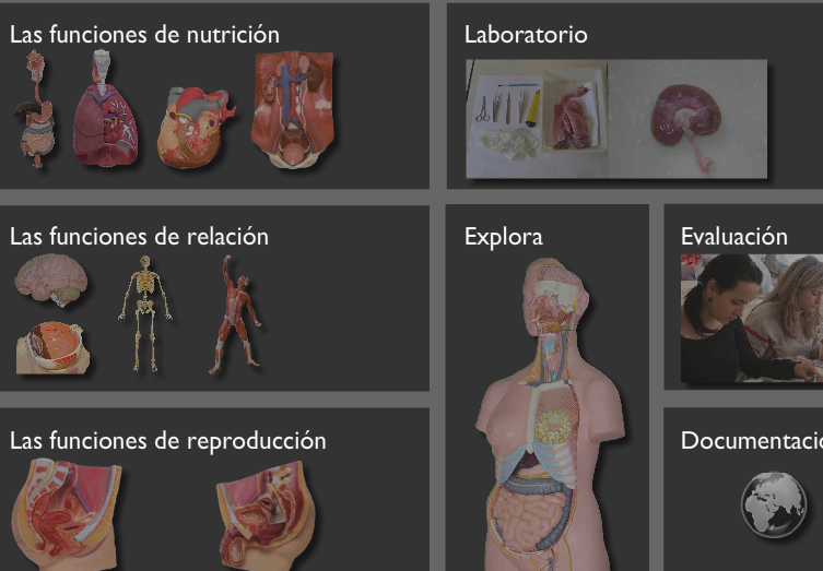 Nuestro cuerpo en un clic | Recurso educativo 34963