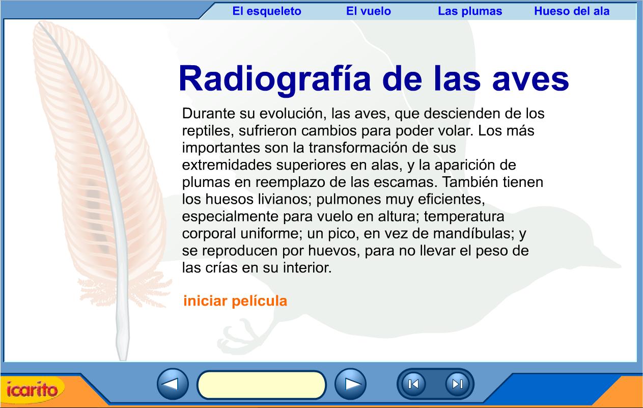 Radiografía de las aves | Recurso educativo 39487