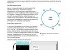 Restriction Digestion and Gel Electrophoresis of DNA | Recurso educativo 39942