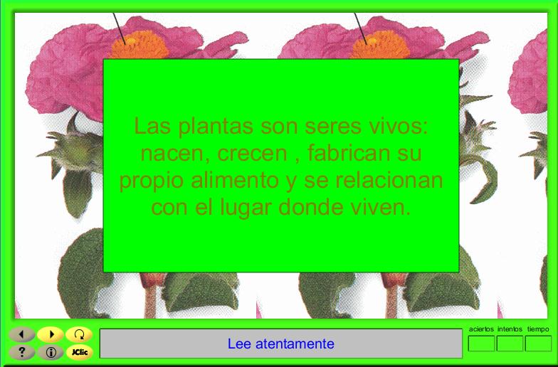 Las plantas | Recurso educativo 41223