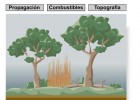 Incendios Forestales | Recurso educativo 43187