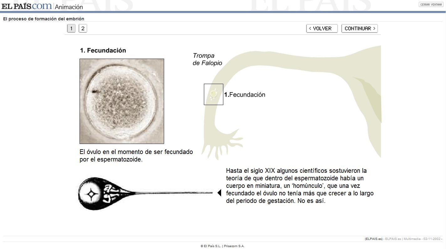 Formación del embrión | Recurso educativo 43373