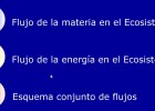 Flujos de la materia y la energia en el ecosistema | Recurso educativo 43707