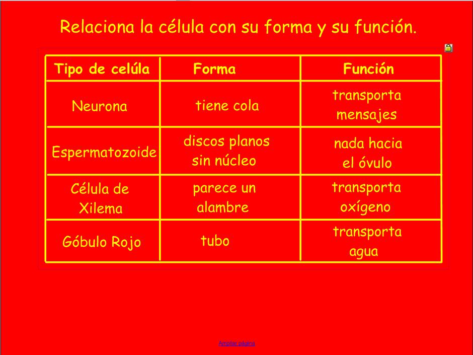 Las Celulas | Recurso educativo 50729