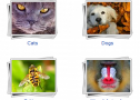 Animals puzzle gallery | Recurso educativo 59552