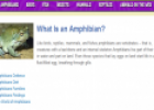 Amphibians | Recurso educativo 13373