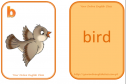 Animal flashcards | Recurso educativo 20669