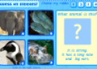 Guess the animal | Recurso educativo 21785