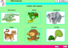 Wild animals | Recurso educativo 24553