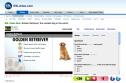 Video: Golden Retriever | Recurso educativo 32562