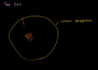 Parts of a cell | Recurso educativo 72066