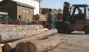 Wood processing industry | Recurso educativo 85583