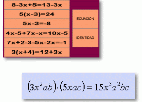 zonaClic - actividades - Monomios y polinomios | Recurso educativo 100857
