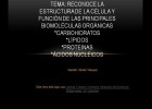 Reconoce la estructura y función de las principales biomoléculas | Recurso educativo 94702