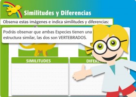 Animales vertebrados e invertebrados | Recurso educativo 680490