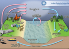 Cycling of matter | Recurso educativo 745372