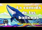 LA COMIDA DE LAS BALLENAS | Recurso educativo 7902775